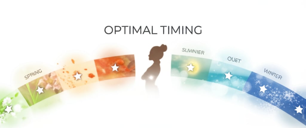 An illustrative image about: A sophisticated visual timeline or circular calendar, clearly segmented into four distinct seasons: 